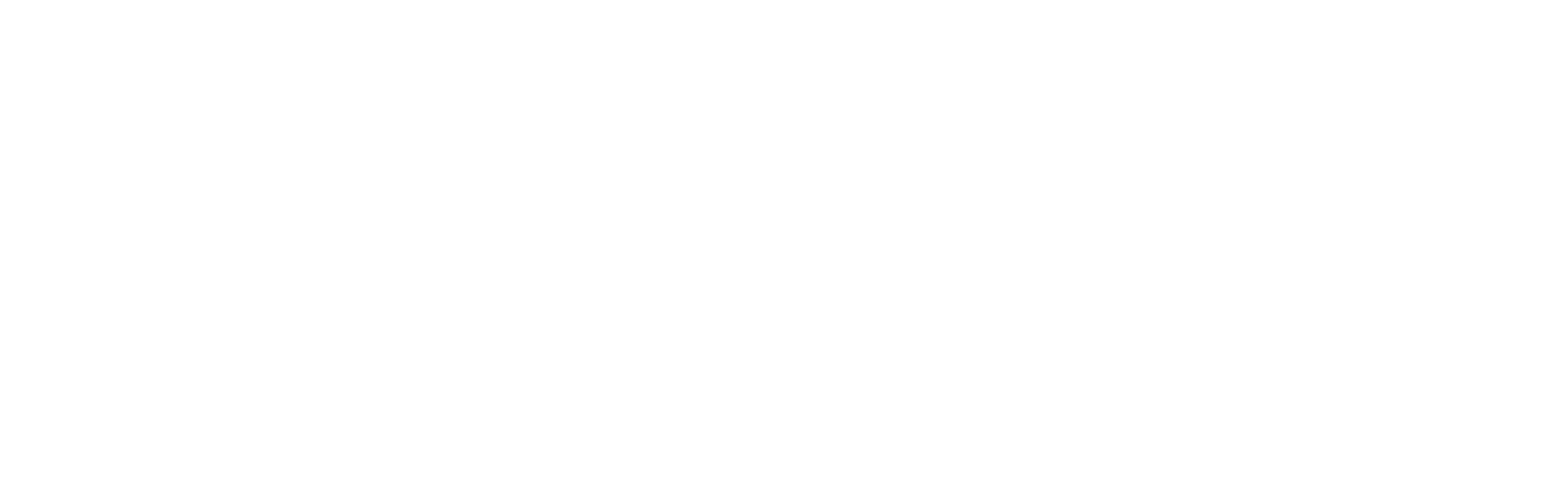 HIGN Logo
